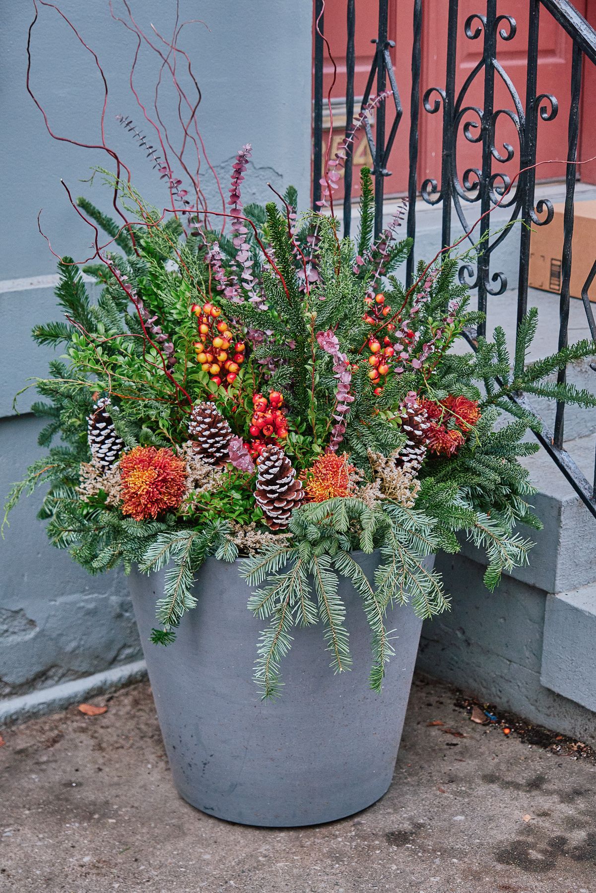 Enliven Planters winter container arrangement